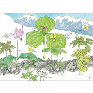 雨蛙生態旅行團:雪地冒險之旅 (松岡達英)-故事: 兒童繪本 Picture Books-買書書 BuyBookBook