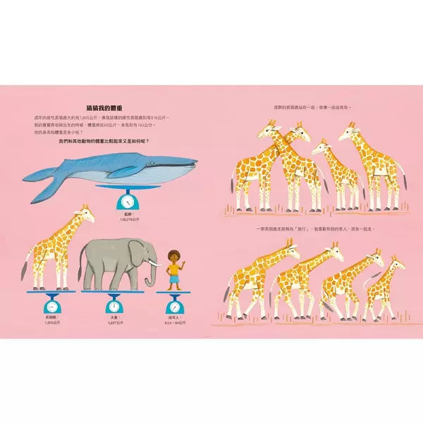 長頸鹿的數學世界 ☆美國科學教師協會(NSTA)與美國童書協會(CBC)年度最佳STEM書籍-非故事: 電腦數學 Computer & Maths-買書書 BuyBookBook