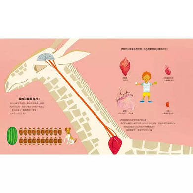 長頸鹿的數學世界 ☆美國科學教師協會(NSTA)與美國童書協會(CBC)年度最佳STEM書籍-非故事: 電腦數學 Computer & Maths-買書書 BuyBookBook