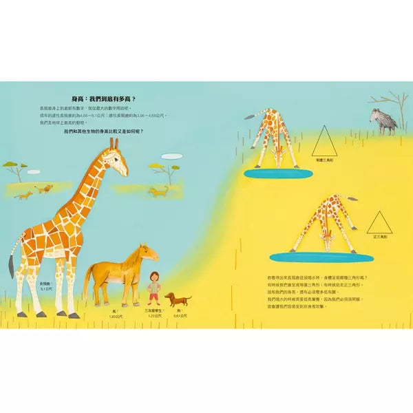 長頸鹿的數學世界 ☆美國科學教師協會(NSTA)與美國童書協會(CBC)年度最佳STEM書籍-非故事: 電腦數學 Computer & Maths-買書書 BuyBookBook