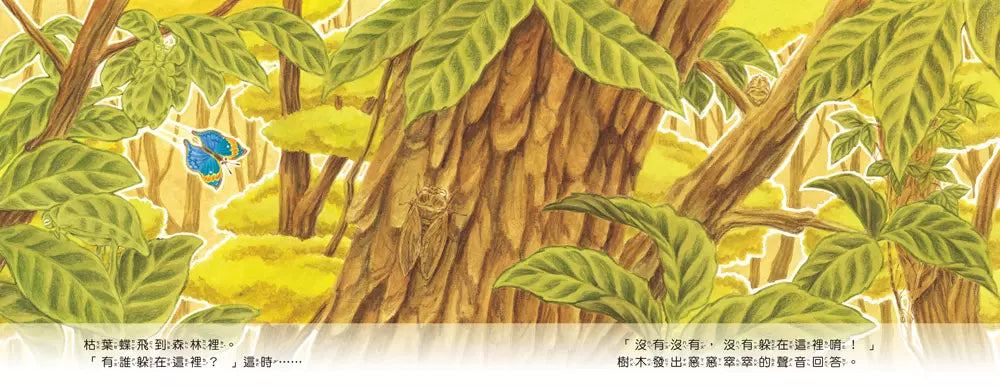 蟲蟲捉迷藏:沒有沒有、沒有躲在這裡唷 (福澤由美子)-故事: 兒童繪本 Picture Books-買書書 BuyBookBook