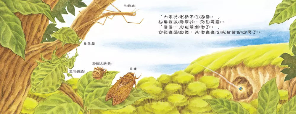 蟲蟲捉迷藏:沒有沒有、沒有躲在這裡唷 (福澤由美子)-故事: 兒童繪本 Picture Books-買書書 BuyBookBook