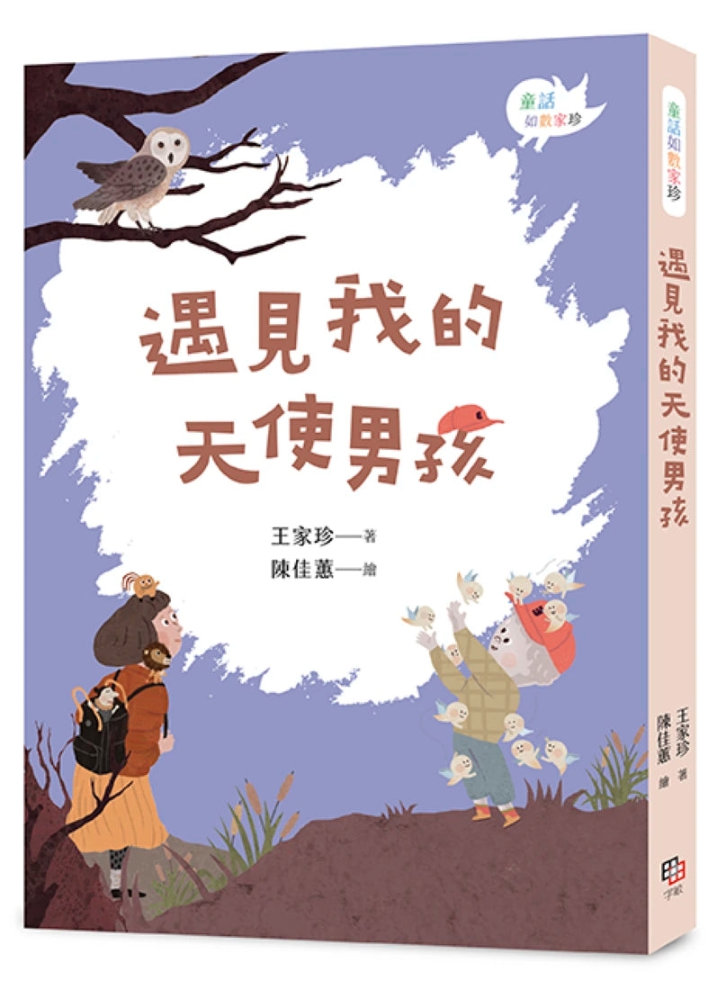 遇見我的天使男孩 平裝書 Paperback