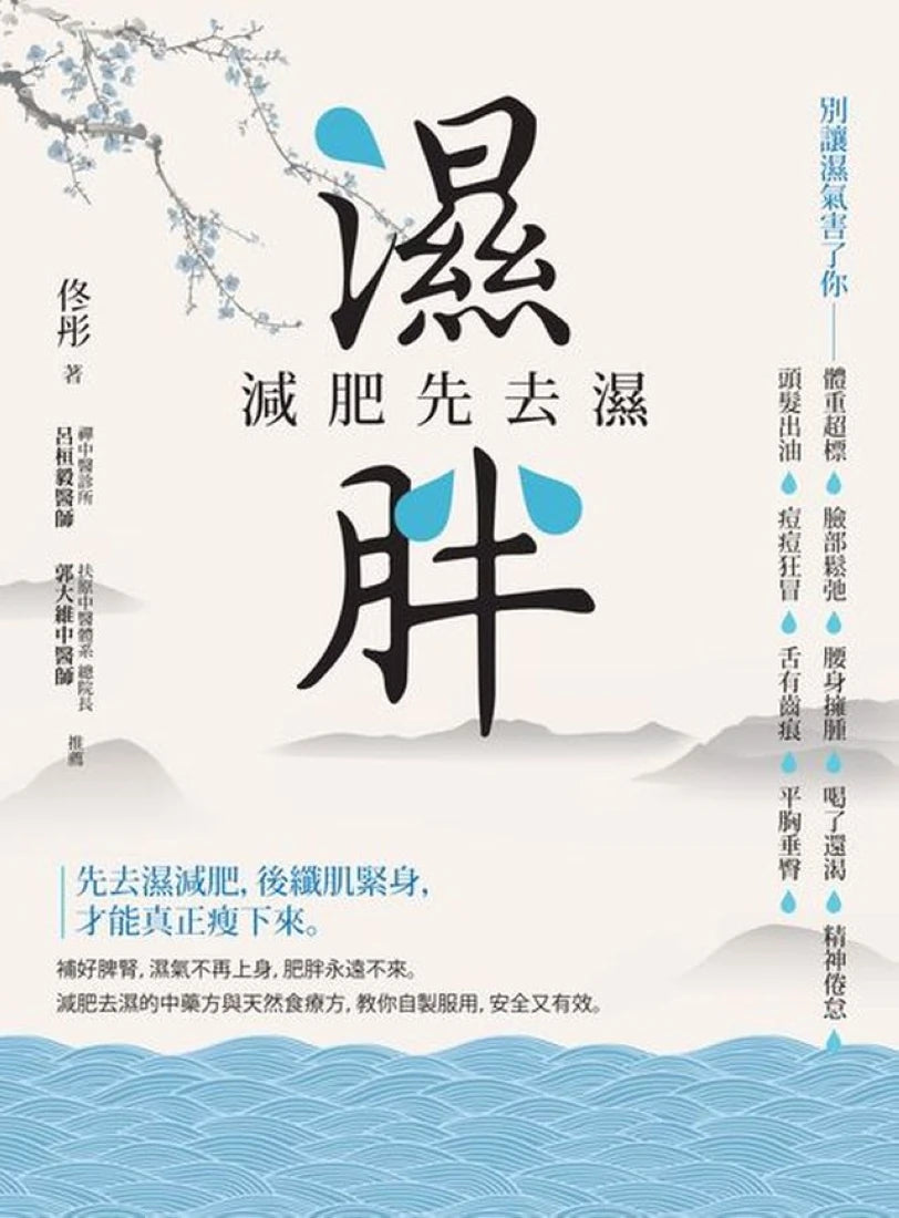 濕胖:減肥先去濕 平裝書 Paperback