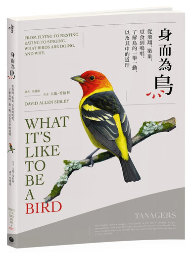 身而為鳥:從飛翔、築巢、覓食到鳴唱,了解鳥的一舉一動,以及其中的道理 平裝書 Paperback