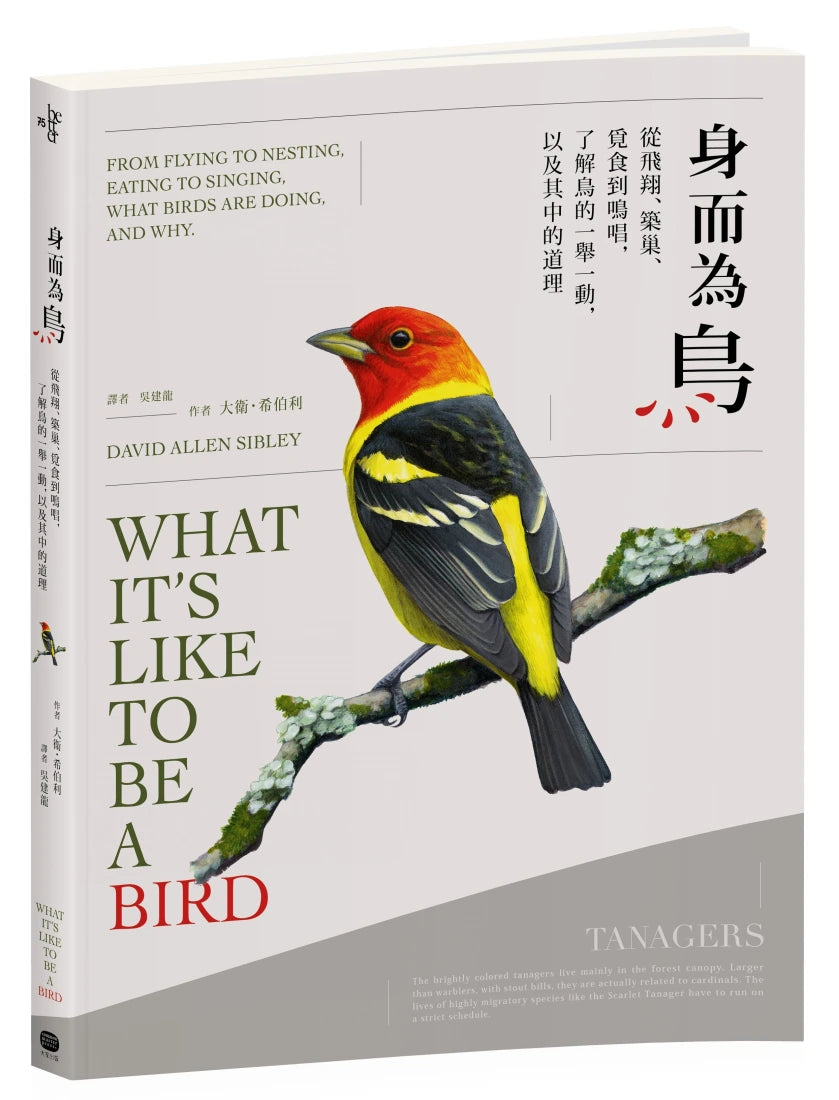 身而為鳥:從飛翔、築巢、覓食到鳴唱,了解鳥的一舉一動,以及其中的道理 平裝書 Paperback