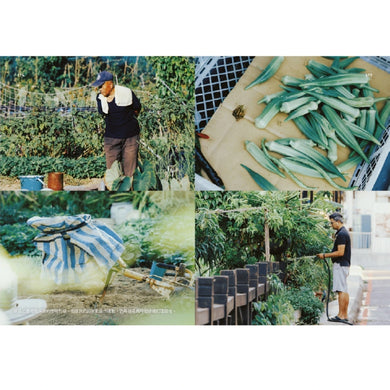 誌村鑑4:馬祖南竿山隴