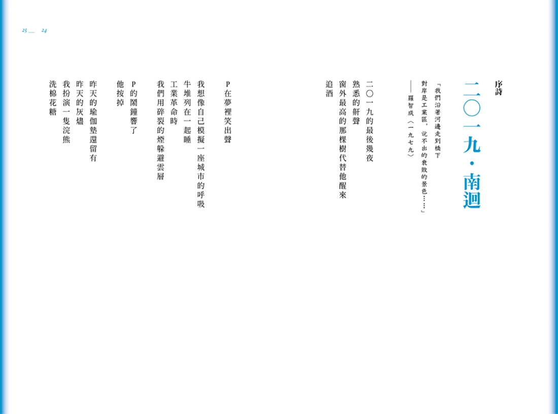 南迴 平裝書 Paperback