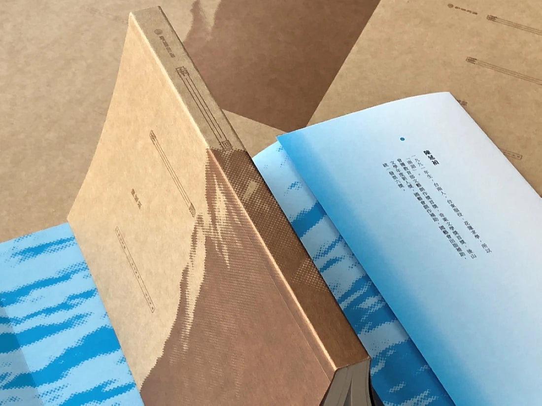 南迴 平裝書 Paperback