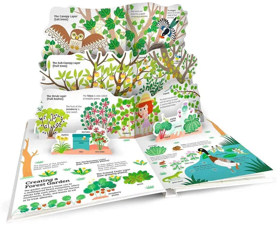 Ultimate Spotlight: Caring for Earth (Sandra Laboucarie)-Nonfiction: 動物植物 Animal & Plant-買書書 BuyBookBook
