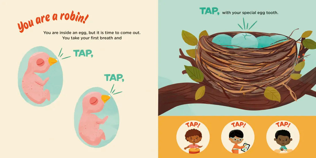You Are a Robin! US - Board book