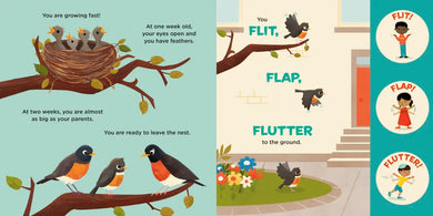 You Are a Robin! US - Board book