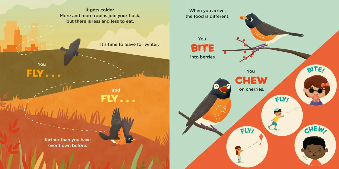 You Are a Robin! US - Board book