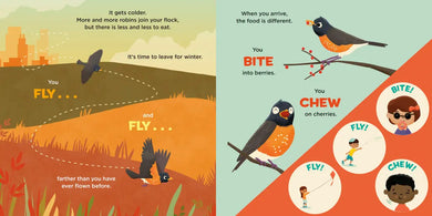 You Are a Robin! US - Board book