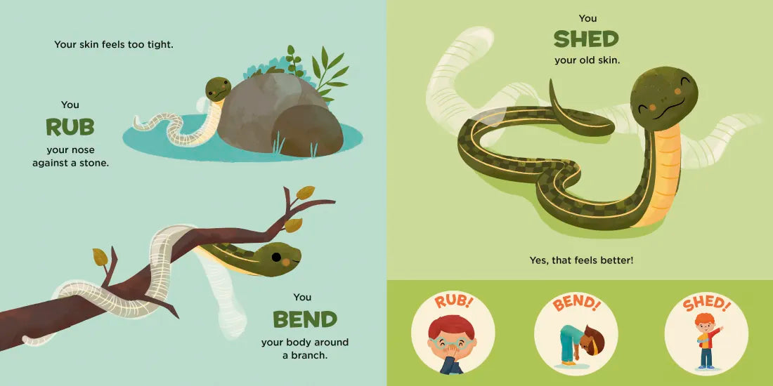You Are a Garter Snake! US - Board book