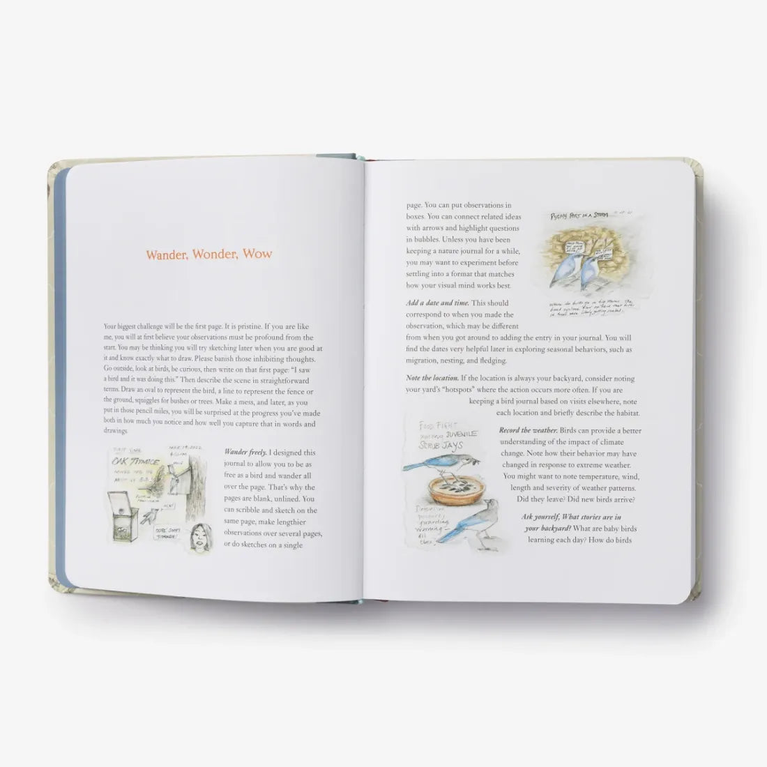 The Backyard Bird Journal US - Hardback