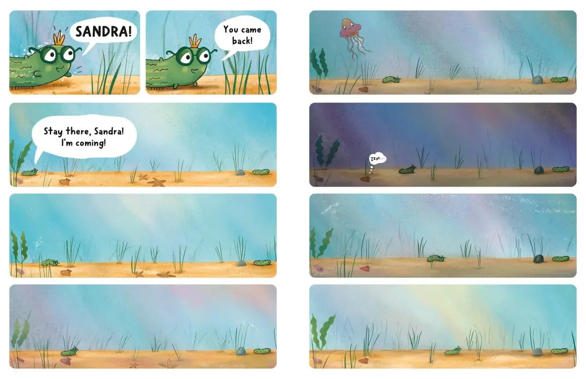 Neil, the Amazing Sea Cucumber US - Hardback
