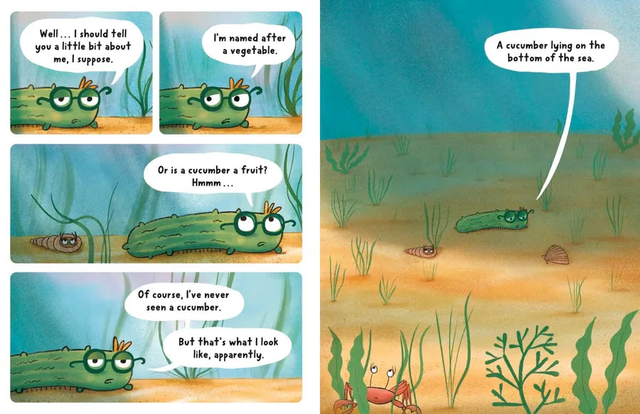 Neil, the Amazing Sea Cucumber US - Hardback