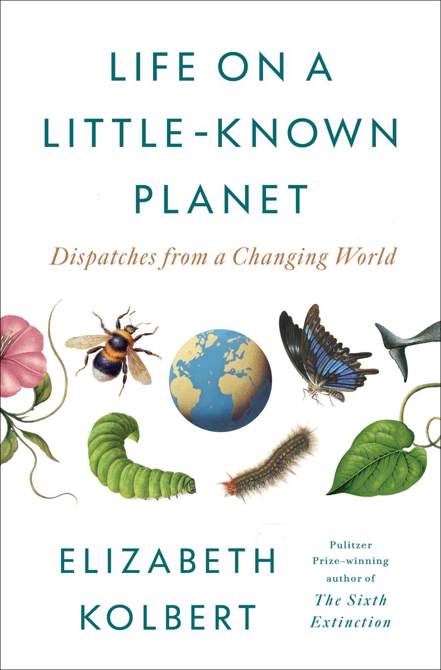 Life on a Little-Known Planet-Nature and the natural world: general interest-買書書 BuyBookBook