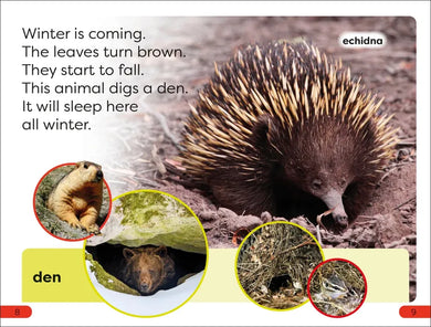 DK Super Readers Pre-Level A Bed for the Winter US - Hardback