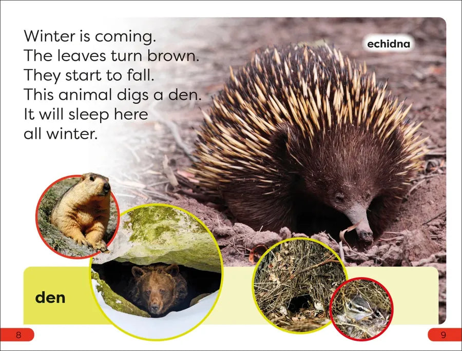 DK Super Readers Pre-Level A Bed for the Winter US - Hardback