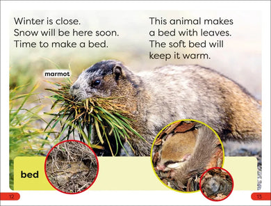 DK Super Readers Pre-Level A Bed for the Winter US - Hardback