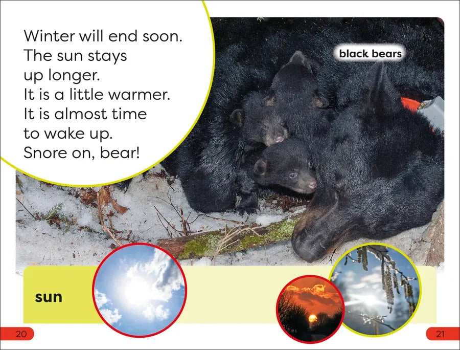 DK Super Readers Pre-Level A Bed for the Winter US - Hardback