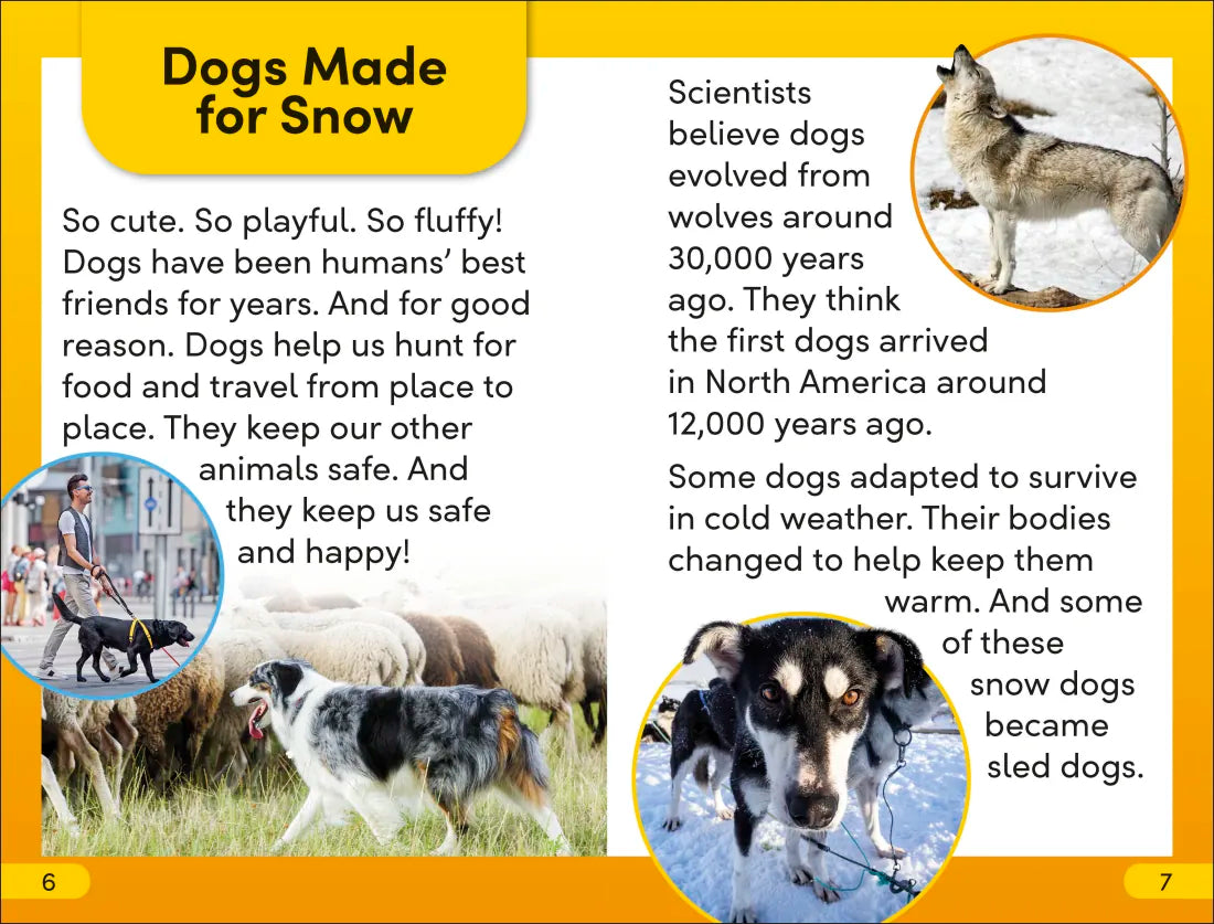 DK Super Readers Level 2 Snow Dogs US - Paperback / softback