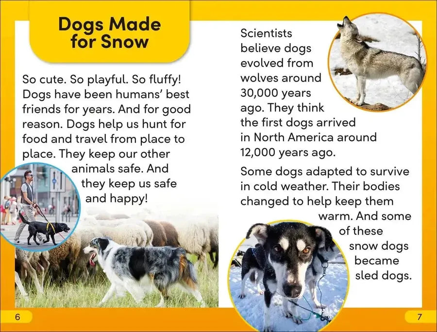 DK Super Readers Level 2 Snow Dogs US - Hardback