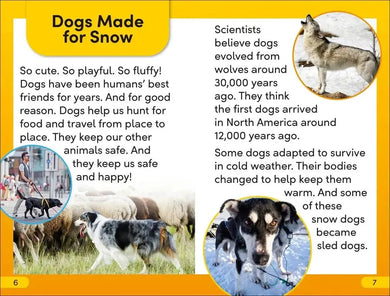 DK Super Readers Level 2 Snow Dogs US - Hardback