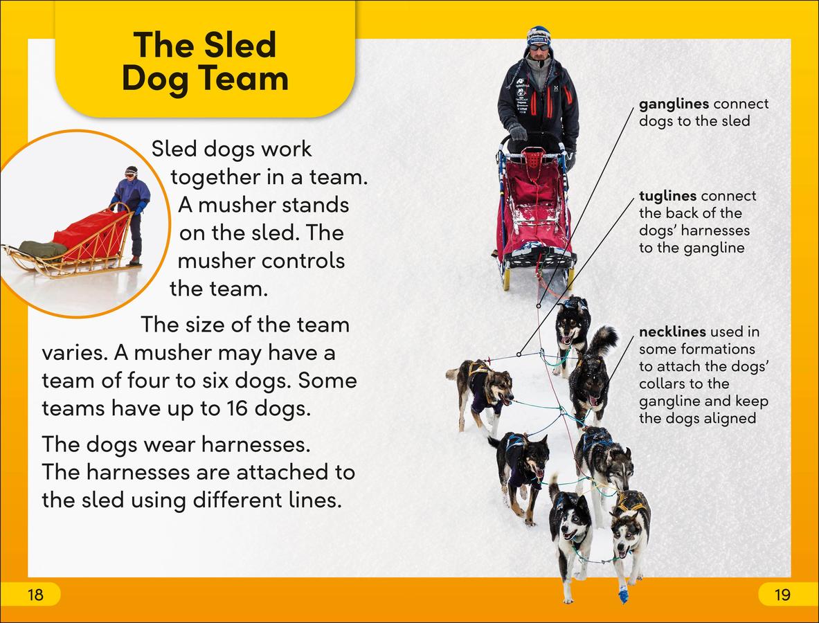 DK Super Readers Level 2 Snow Dogs US - Hardback
