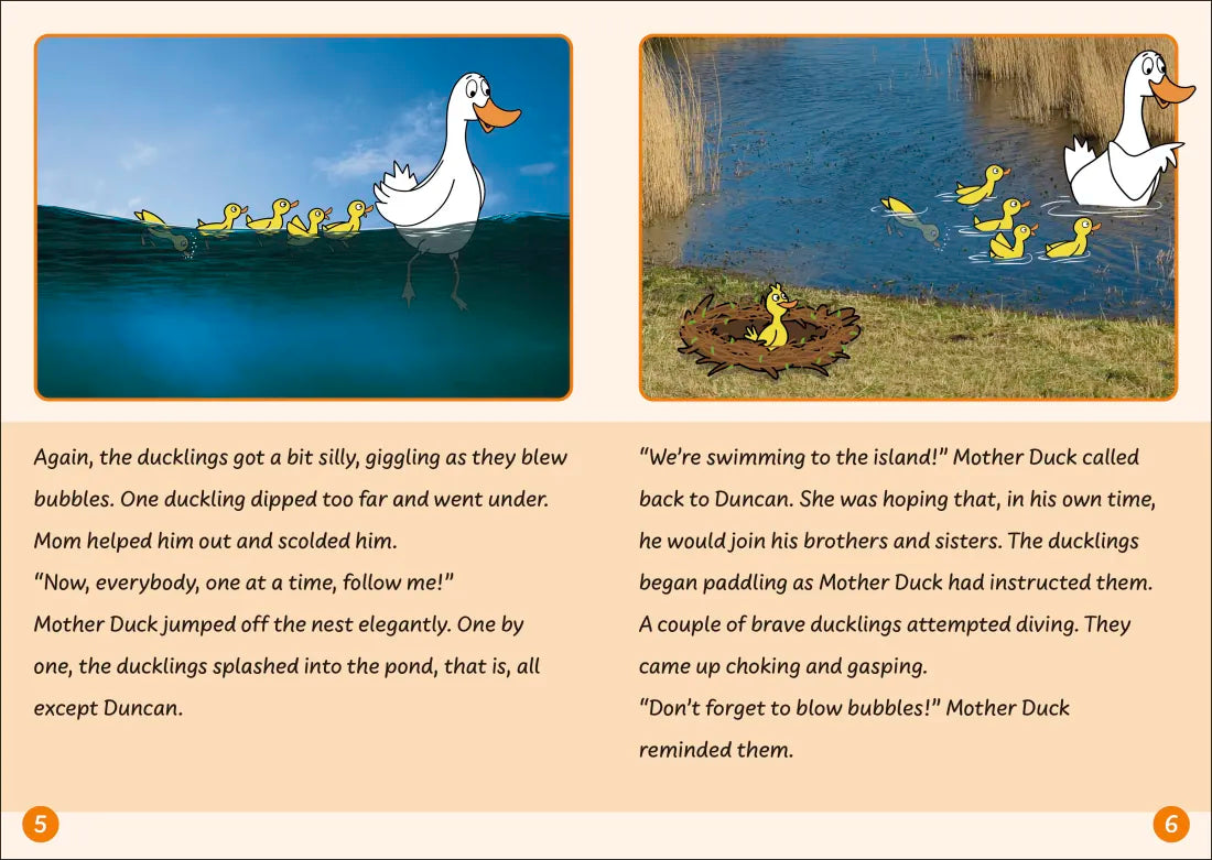 Phonic Books Dandelion Readers Level 5 Prefixes and Suffixes US - Multiple-component retail product, boxed