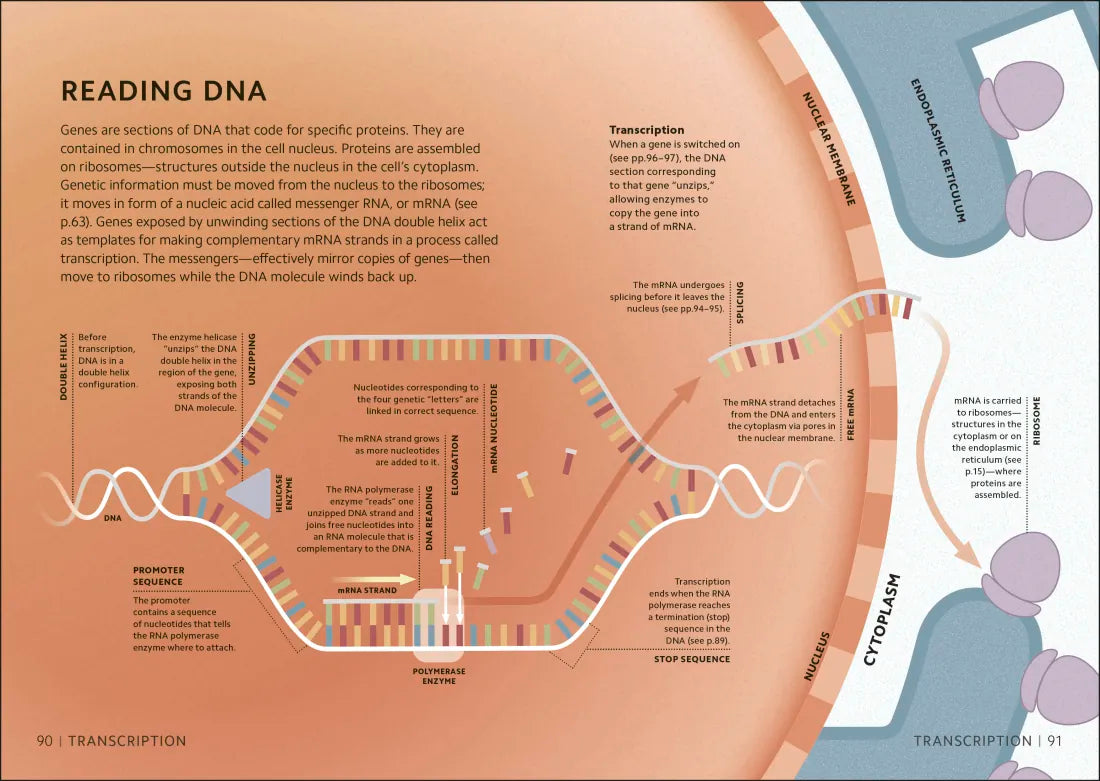 Simply Genetics US - Hardback