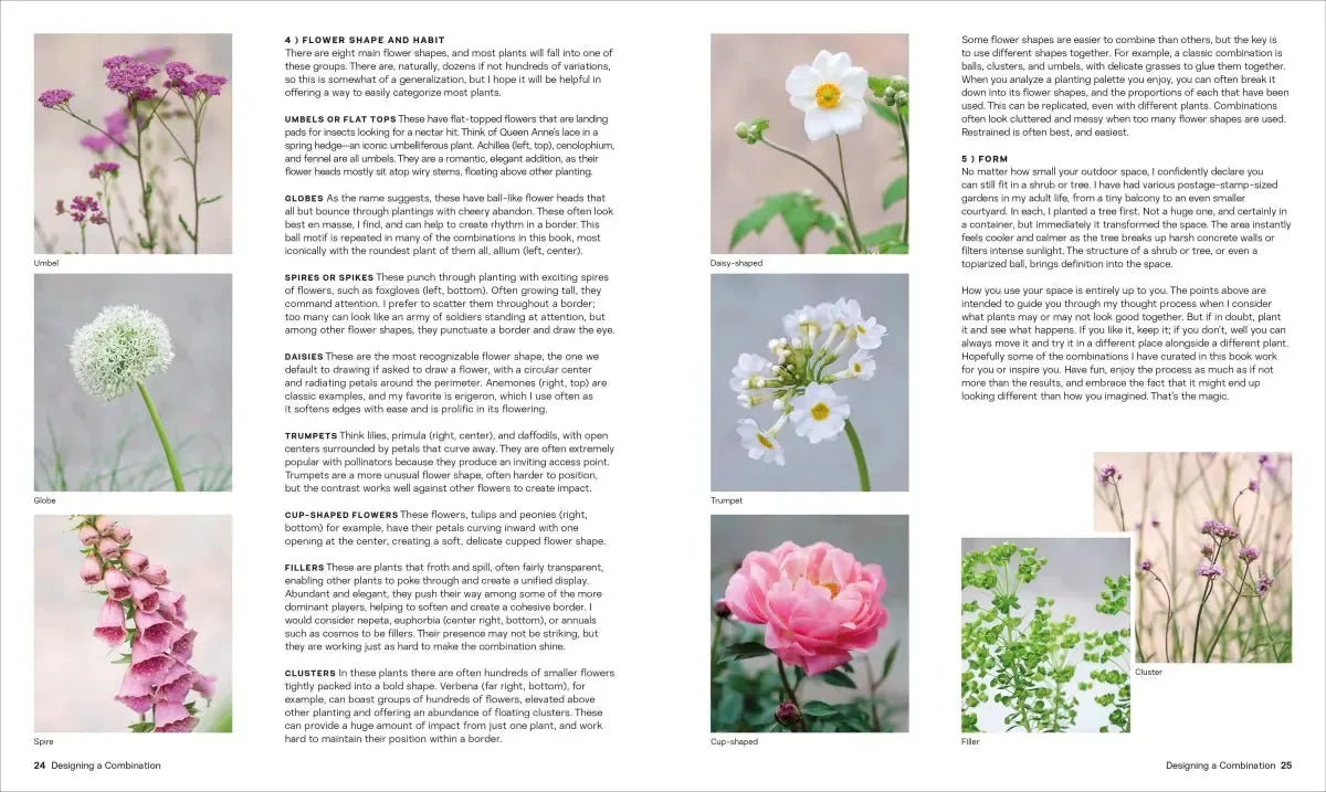 What Grows Together US - Hardback