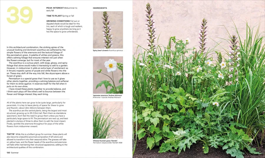 What Grows Together US - Hardback