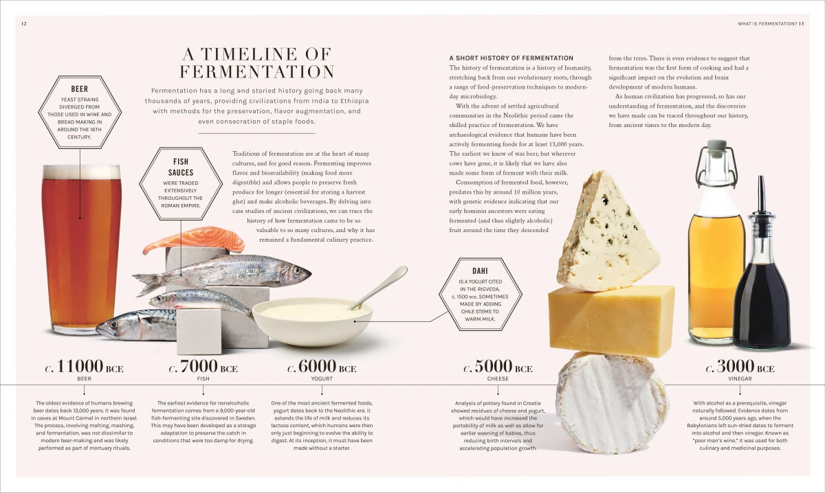 The Science of Fermentation US - Hardback
