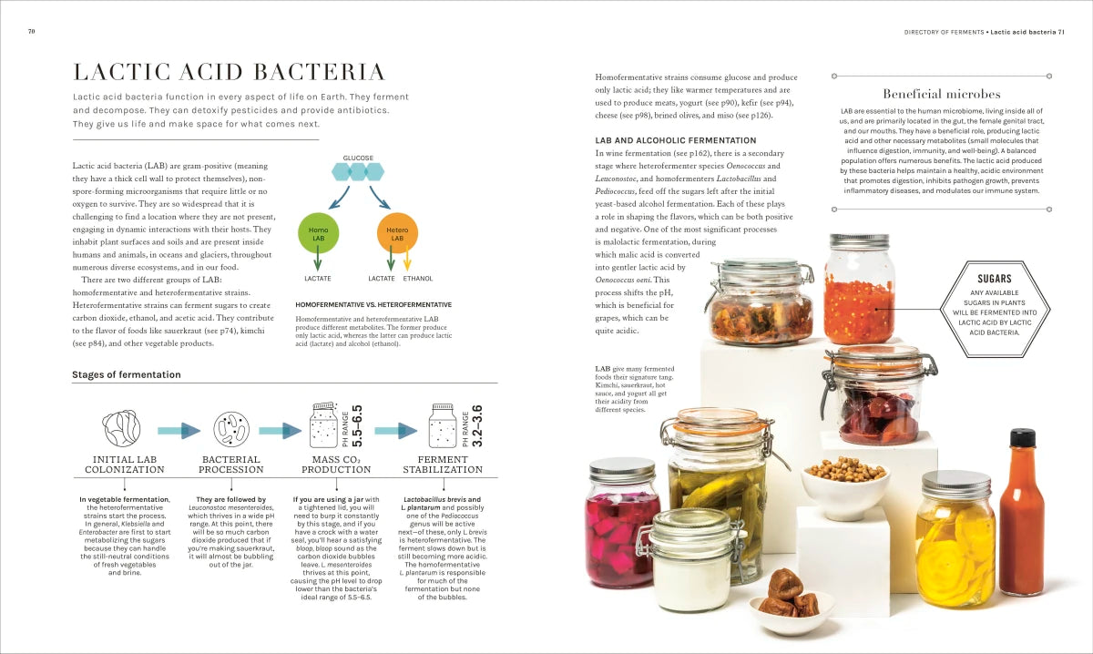 The Science of Fermentation US - Hardback
