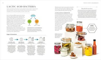 The Science of Fermentation US - Hardback