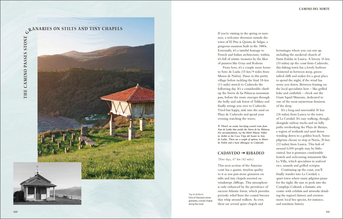 Walking the Camino de Santiago US - Hardback
