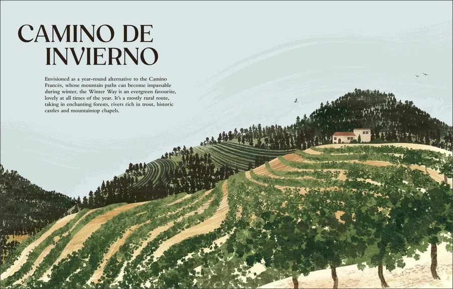 Walking the Camino de Santiago US - Hardback