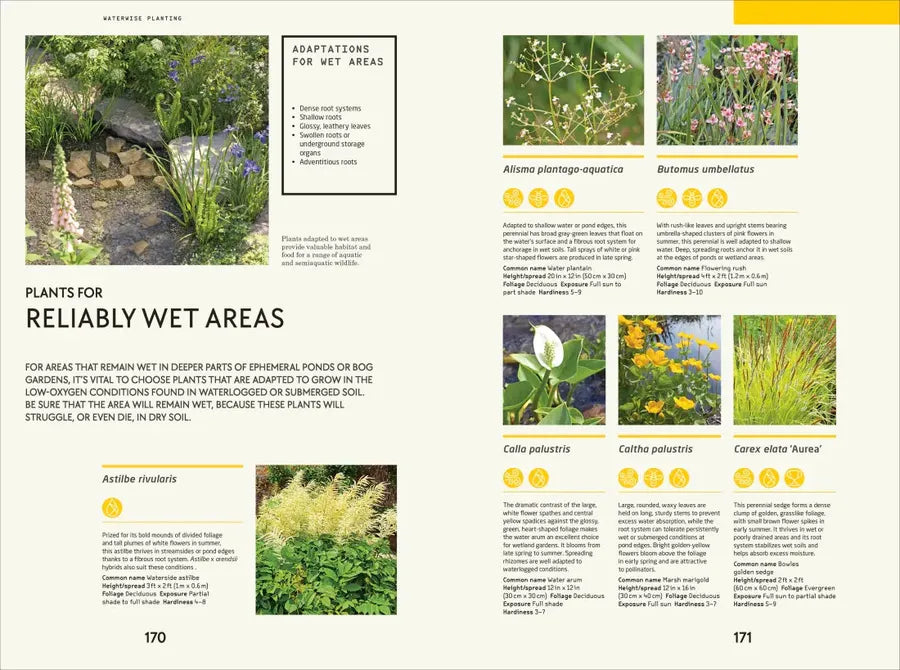 Waterwise Garden US - Hardback