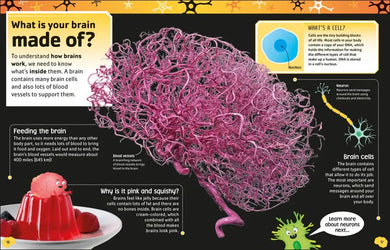 The Brain Book US - Paperback / softback