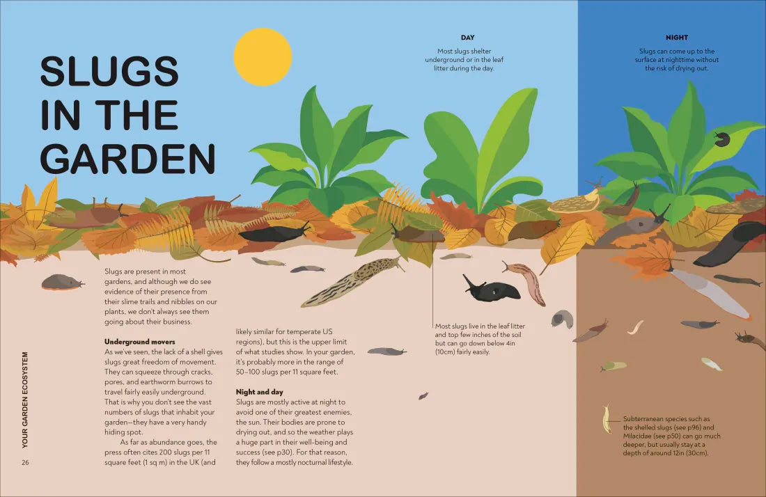 Slugs: Friend or Foe? US - Hardback