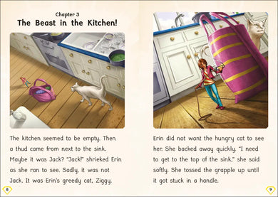 Phonic Books Rescue Bindup US - Hardback