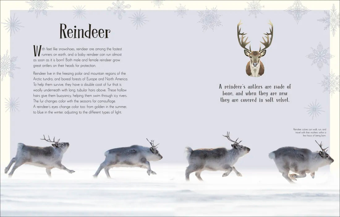 An Anthology of Christmas US - Hardback