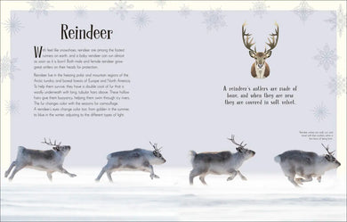 An Anthology of Christmas US - Hardback