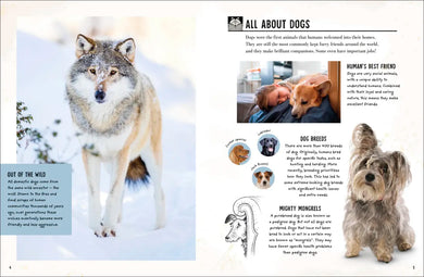 My Dog US - Book