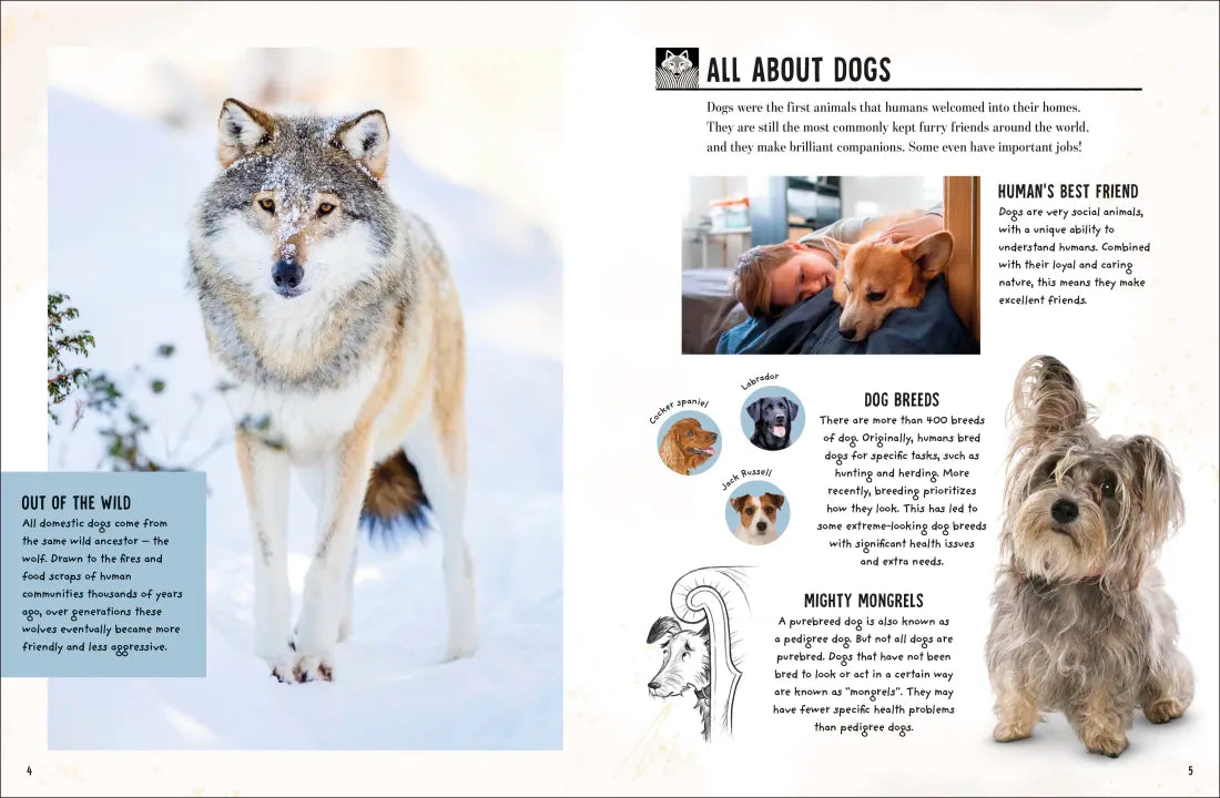 My Dog US - Book