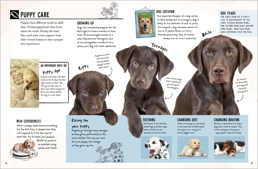 My Dog US - Book