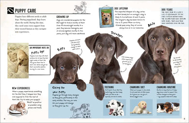 My Dog US - Book
